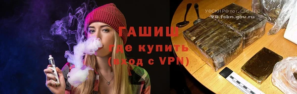 сатива Коряжма