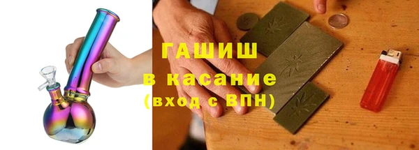 сатива Коряжма
