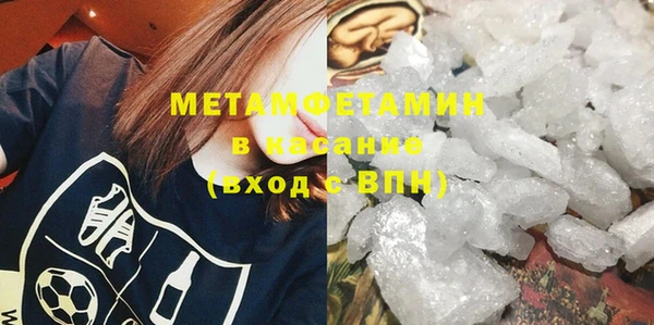 сатива Коряжма