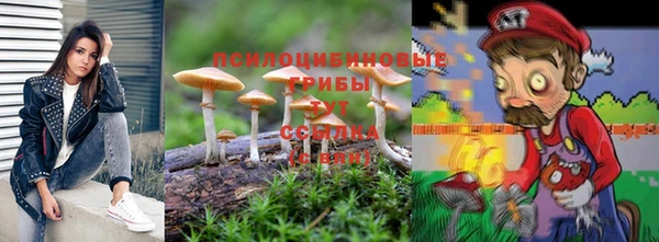трава Костерёво