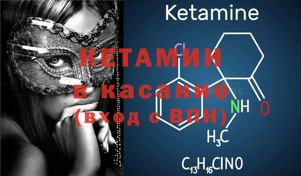 сатива Коряжма
