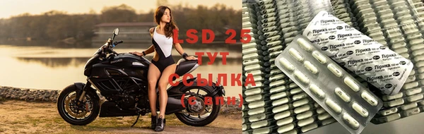 сатива Коряжма