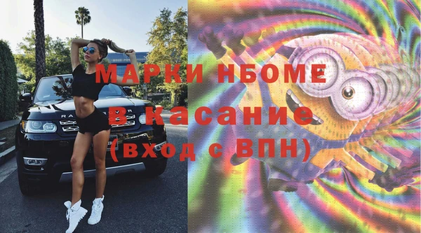 сатива Коряжма